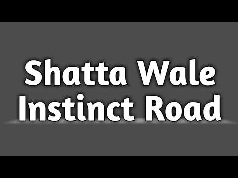 Shatta Wale – Instinct Road (Prod. By Paq)