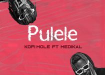 Kofi Mole – Pulele Ft Medikal (Prod. by BPM Boss)