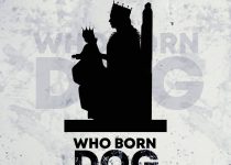 Tinny – Who Born Dog (Yaa Pono Diss) (Prod. by Brainy Beatz)