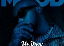 Mr Drew – Mood (Prod by Beatz Vampire)