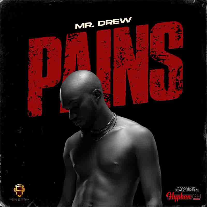 Mr Drew - Pains (Prod by Beatz Vampire)