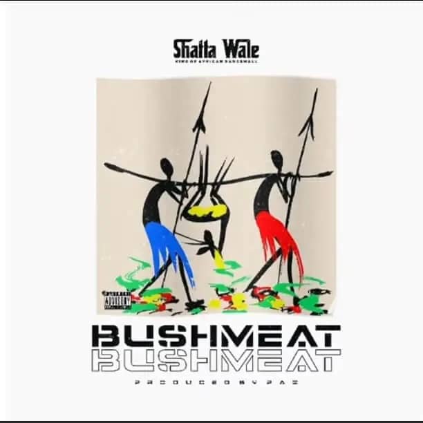 Shatta Wale - Bushmeat (Prod By Paq)