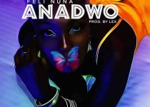 Feli Nuna - Anadwo (Prod. by Lex)