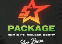 King Promise – Slow Down (Remix) ft. Maleek Berry