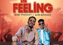Kojo Wadosty - The Feeling ft Kofi Kinaata