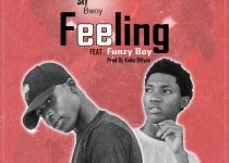 Sky Bwoy - Feeling Ft. Funzy Boy (Prod. By Knike Billyon)