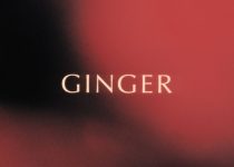 King Promise - Ginger (Prod. by Jae5)
